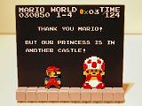 Special Nintendo Items